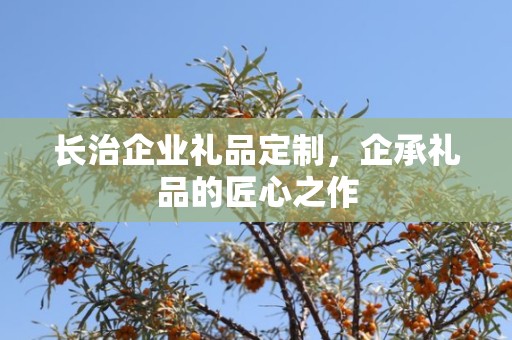长治企业礼品定制，企承礼品的匠心之作