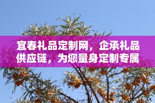 宜春礼品定制网，企承礼品供应链，为您量身定制专属礼品