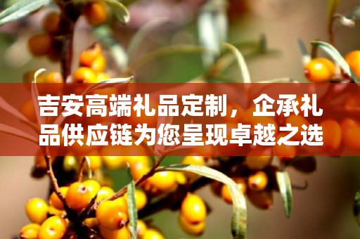 吉安高端礼品定制，企承礼品供应链为您呈现卓越之选